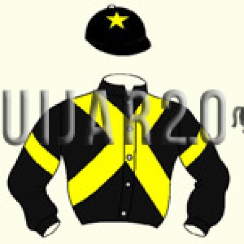 Mel Davis y Partners