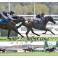 Carrera: P.Loto Turf | Caballo: Harasueva | Monta: S.Martín