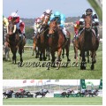 Carrera: P.Eurostars Hoteles | Caballo: Sonrisillas | Monta: J.L.Borrego