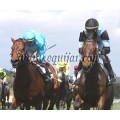 Carrera: P.Eurostars Hoteles | Caballo: Sonrisillas | Monta: J.L.Borrego