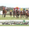 Carrera: P.Loto Turf | Caballo: Sliploge