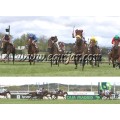 Carrera: P.Eurostars H. | Caballo: Hisriqua | Monta: G.Madero