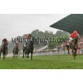 Carrera: Copa de Oro de S.S. | Caballo: Le Carnaval
