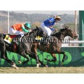 Carrera: P.Villamejor | Caballo: Girofolo | Monta: M.Borrego