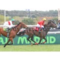 Carrera: P.Loto Turf | Caballo: Sliploge