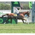 Carrera: P.Sexta Avenida (Am-Ge) | Caballo: Indian Blue | Monta: Sr.Escario J.I.