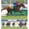 Carrera: G.P.de Madrid | Caballo: Bannaby | Monta: J.Grosjean