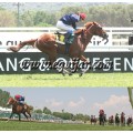 Carrera: G.P.de Madrid | Caballo: Bannaby | Monta: J.Grosjean