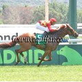 Carrera: P.Loto Turf | Caballo: Principe de Viana | Monta: F.Jiménez A.