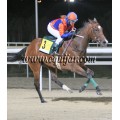 Carrera: P.Nespresso | Caballo: Safayn Dancer