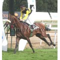 Carrera: P.Hipodromoa Turf | Caballo: Mr.Palmero | Monta: F.Jiménez A.