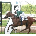 Carrera: P.Ay.de Lasarte-Oria | Caballo: Emboscar | Monta: J.Horcajada