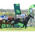 Carrera: P.Loto Turf | Caballo: Langston Boy | Monta: N.García