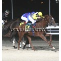 Carrera: P.Loto Turf | Caballo: Don Cattivo