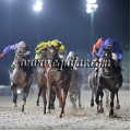 Carrera: P.Loto Turf | Caballo: Don Cattivo