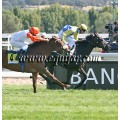 Carrera: P.Loto Turf | Caballo: Lisselan Muse