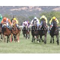 Carrera: P.Loto Turf | Caballo: Lisselan Muse