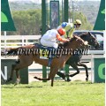 Carrera: P.Loto Turf | Caballo: Lisselan Muse