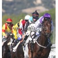 Carrera: P.Nespresso | Caballo: Le Courlis | Monta: A.A.Gallardo
