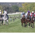 Carrera: P.Nespresso | Caballo: Le Courlis | Monta: A.A.Gallardo