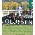 Carrera: P.Nespresso | Caballo: Le Courlis | Monta: A.A.Gallardo