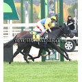 Carrera: P.Loto Turf | Caballo: Lisselan Rightcall | Monta: S.Martín