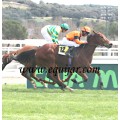 Carrera: P.Loto Turf | Caballo: Republicano | Monta: O.Ortiz de U.