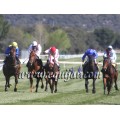 Carrera: P.Pepsi | Caballo: Danys Dream | Monta: A.A.Gallardo