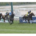 Carrera: P.Habtancum | Caballo: Flying Blue | Monta: A.A.Gallardo