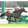 Carrera: P.MAPA | Caballo: Kiffer | Monta: B.Fayos