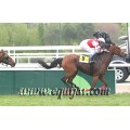 Carrera: P.Loto Turf | Caballo: La Moraña | Monta: J.Jarcovsky