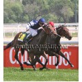 Carrera: P.Nespresso | Caballo: Lonnegan | Monta: M.Borrego