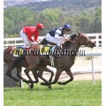 Carrera: P.Nespresso | Caballo: Lonnegan | Monta: M.Borrego