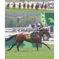 Carrera: P.Loto Turf