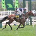 Carrera: P.Loto Turf | Caballo: Watzmann | Monta: J.Horcajada