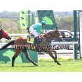 Carrera: P.Nespreso | Caballo: Melide | Monta: B.Moreno