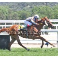 Carrera: Oaks | Caballo: Carlota | Monta: B.Fayos