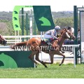Carrera: Oaks | Caballo: Carlota | Monta: B.Fayos