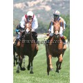 Carrera: Oaks | Caballo: Carlota | Monta: B.Fayos