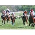 Carrera: P.MAPA | Caballo: Doende | Monta: O.Ortiz de U.