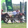 Carrera: P.Loto Turf | Caballo: Watzmann | Monta: B.Fayos