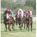 Carrera: P.MAPA 1 | Caballo: Cris Cross | Monta: A.A.Gallardo