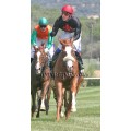 Carrera: P.MAPA 1 | Caballo: Cris Cross | Monta: A.A.Gallardo