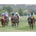 Carrera: P.Loto Turf | Caballo: Bolas Nuevas | Monta: A.A.Gallardo