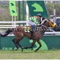 Carrera: P.Loto Turf | Caballo: Bolas Nuevas | Monta: A.A.Gallardo