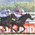 Carrera: P.Cruzcampo | Caballo: Barrocco | Monta: B.Fayos