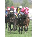 Carrera: P.Nespresso | Caballo: Lord Enzo | Monta: O.Ortiz de U.