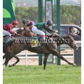 Carrera: P.Loto Turf | Caballo: Suntuoso | Monta: M.Gomes