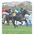 Carrera: P.Loto Turf | Caballo: Salsarix | Monta: J.Horcajada
