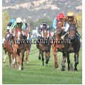 Carrera: P.Villamejor | Caballo: Karluv Most | Monta: R.Montenegro